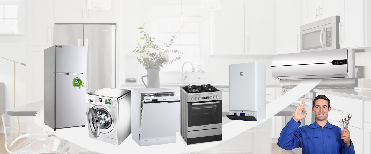 Alaşehir Electrolux Servisi